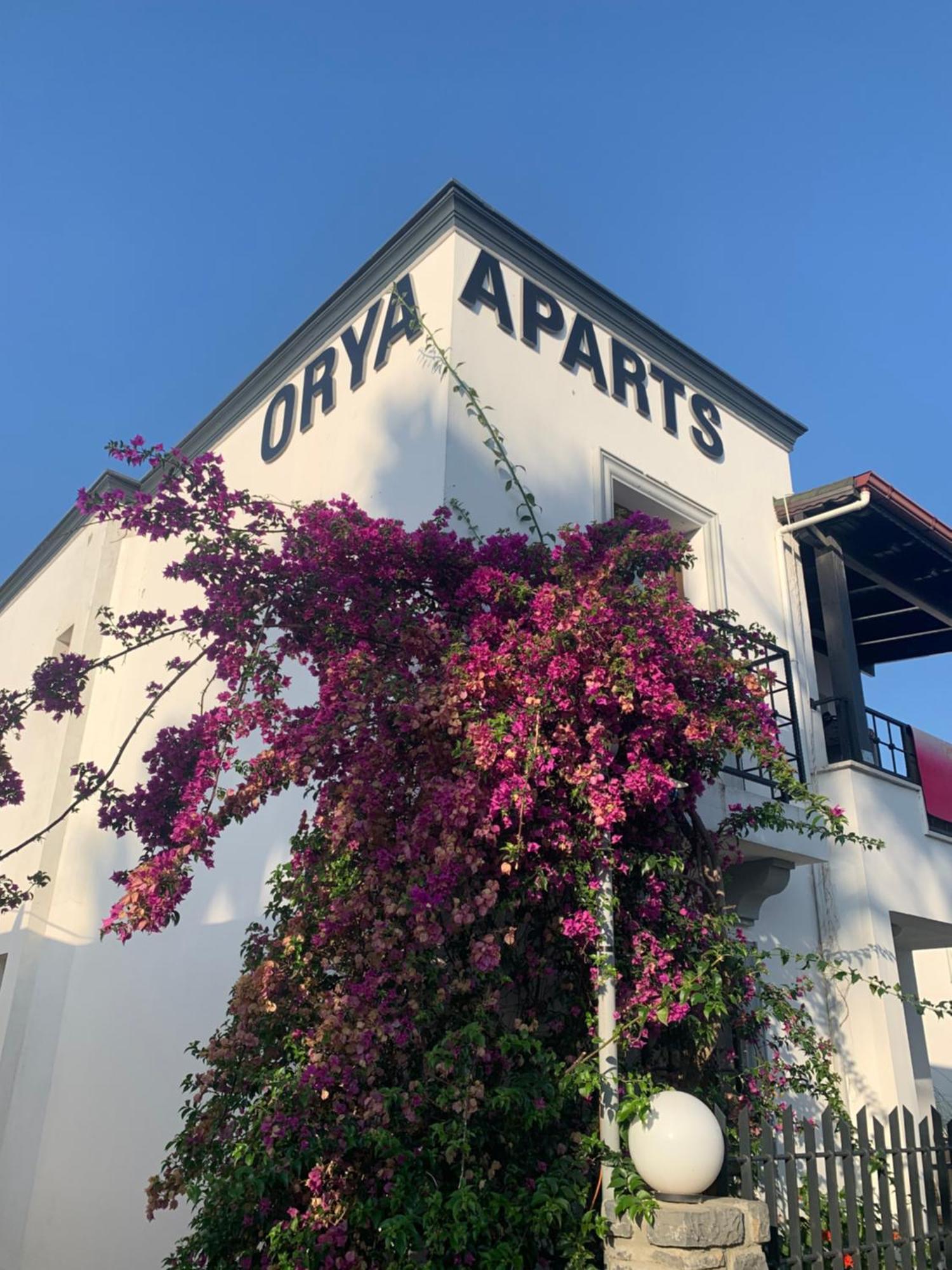 Orya Aparts Gumbet Bagian luar foto